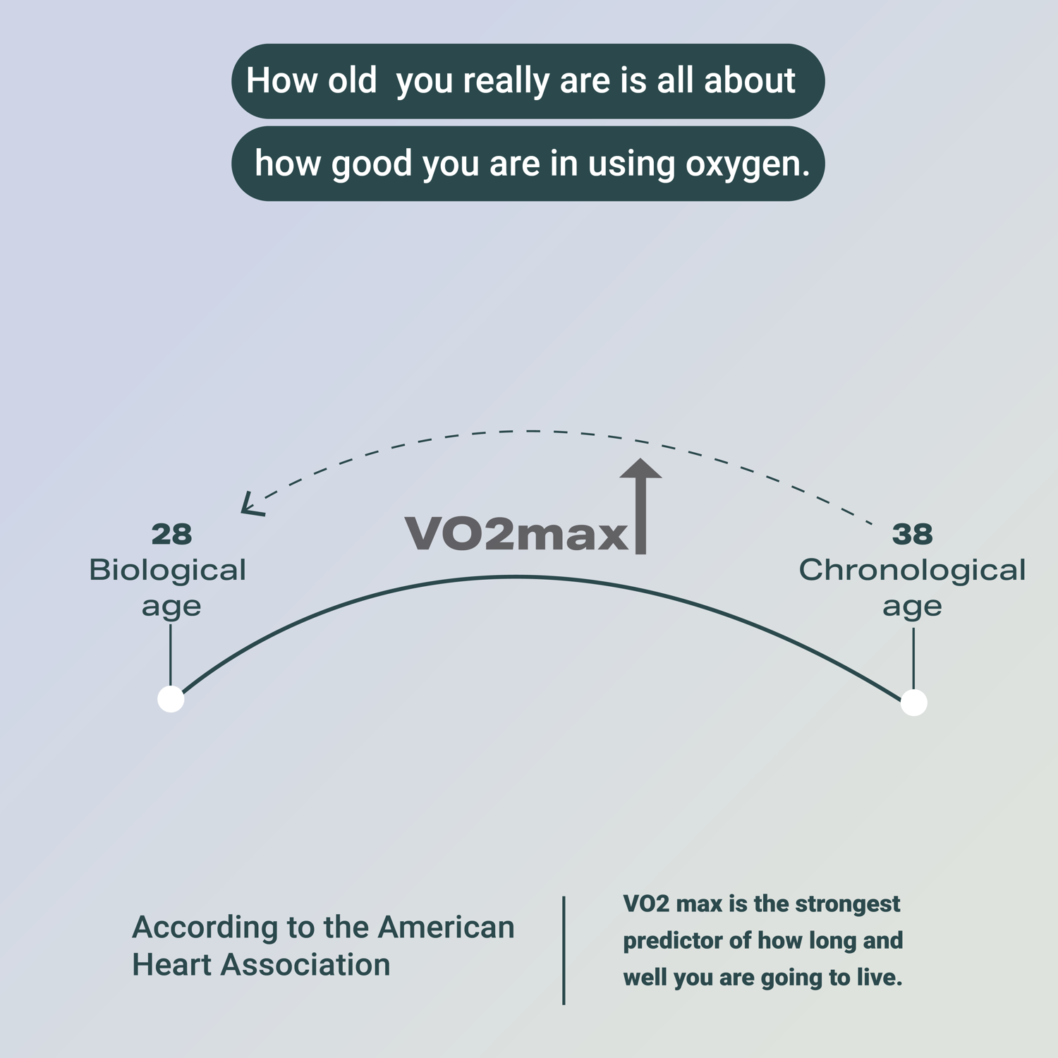 How old you really are is about how well you use oxygen — VO2max, biological vs chronological age